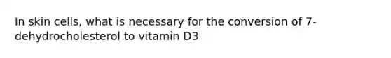 In skin cells, what is necessary for the conversion of 7-dehydrocholesterol to vitamin D3