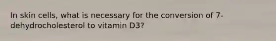 In skin cells, what is necessary for the conversion of 7-dehydrocholesterol to vitamin D3?