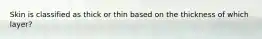 Skin is classified as thick or thin based on the thickness of which layer?