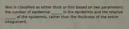 Skin is classified as either thick or thin based on two parameters: the number of epidermal ______ in the epidermis and the relative ______ of the epidermis, rather than the thickness of the entire integument.