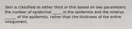 Skin is classified as either thick or thin based on two parameters; the number of epidermal _____ in the epidermis and the relative ______ of the epidermis, rather than the thickness of the entire integument.