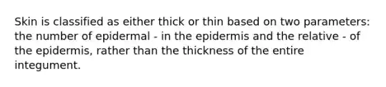 Skin is classified as either thick or thin based on two parameters: the number of epidermal - in the epidermis and the relative - of the epidermis, rather than the thickness of the entire integument.