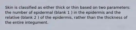 Skin is classified as either thick or thin based on two parameters: the number of epidermal (blank 1 ) in the epidermis and the relative (blank 2 ) of the epidermis, rather than the thickness of the entire integument.