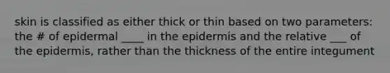 skin is classified as either thick or thin based on two parameters: the # of epidermal ____ in the epidermis and the relative ___ of the epidermis, rather than the thickness of the entire integument