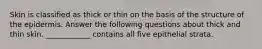 Skin is classified as thick or thin on the basis of the structure of the epidermis. Answer the following questions about thick and thin skin. ____________ contains all five epithelial strata.
