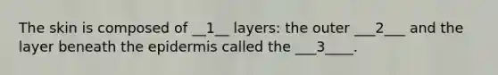 The skin is composed of __1__ layers: the outer ___2___ and the layer beneath the epidermis called the ___3____.