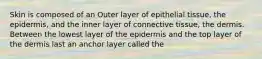 Skin is composed of an Outer layer of epithelial tissue, the epidermis, and the inner layer of connective tissue, the dermis. Between the lowest layer of the epidermis and the top layer of the dermis last an anchor layer called the