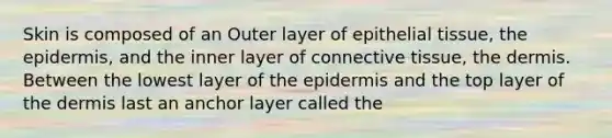 Skin is composed of an Outer layer of epithelial tissue, the epidermis, and the inner layer of connective tissue, the dermis. Between the lowest layer of the epidermis and the top layer of the dermis last an anchor layer called the