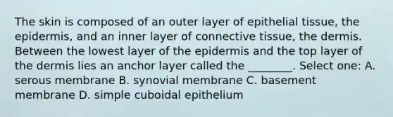 The skin is composed of an outer layer of epithelial tissue, the epidermis, and an inner layer of connective tissue, the dermis. Between the lowest layer of the epidermis and the top layer of the dermis lies an anchor layer called the ________. Select one: A. serous membrane B. synovial membrane C. basement membrane D. simple cuboidal epithelium