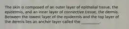 The skin is composed of an outer layer of epithelial tissue, the epidermis, and an inner layer of connective tissue, the dermis. Between the lowest layer of the epidermis and the top layer of the dermis lies an anchor layer called the __________.