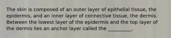 The skin is composed of an outer layer of <a href='https://www.questionai.com/knowledge/k7dms5lrVY-epithelial-tissue' class='anchor-knowledge'>epithelial tissue</a>, <a href='https://www.questionai.com/knowledge/kBFgQMpq6s-the-epidermis' class='anchor-knowledge'>the epidermis</a>, and an inner layer of <a href='https://www.questionai.com/knowledge/kYDr0DHyc8-connective-tissue' class='anchor-knowledge'>connective tissue</a>, the dermis. Between the lowest layer of the epidermis and the top layer of the dermis lies an anchor layer called the __________.