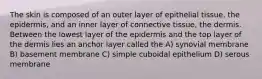 The skin is composed of an outer layer of epithelial tissue, the epidermis, and an inner layer of connective tissue, the dermis. Between the lowest layer of the epidermis and the top layer of the dermis lies an anchor layer called the A) synovial membrane B) basement membrane C) simple cuboidal epithelium D) serous membrane