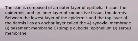 The skin is composed of an outer layer of <a href='https://www.questionai.com/knowledge/k7dms5lrVY-epithelial-tissue' class='anchor-knowledge'>epithelial tissue</a>, <a href='https://www.questionai.com/knowledge/kBFgQMpq6s-the-epidermis' class='anchor-knowledge'>the epidermis</a>, and an inner layer of <a href='https://www.questionai.com/knowledge/kYDr0DHyc8-connective-tissue' class='anchor-knowledge'>connective tissue</a>, the dermis. Between the lowest layer of the epidermis and the top layer of the dermis lies an anchor layer called the A) synovial membrane B) basement membrane C) simple cuboidal epithelium D) serous membrane