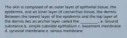 The skin is composed of an outer layer of epithelial tissue, the epidermis, and an inner layer of connective tissue, the dermis. Between the lowest layer of the epidermis and the top layer of the dermis lies an anchor layer called the __________. a. Ground substance b. simple cuboidal epithelium c. basement membrane d. synovial membrane e. serous membrane