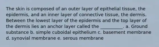 The skin is composed of an outer layer of epithelial tissue, the epidermis, and an inner layer of connective tissue, the dermis. Between the lowest layer of the epidermis and the top layer of the dermis lies an anchor layer called the __________. a. Ground substance b. simple cuboidal epithelium c. basement membrane d. synovial membrane e. serous membrane