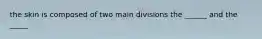 the skin is composed of two main divisions the ______ and the _____