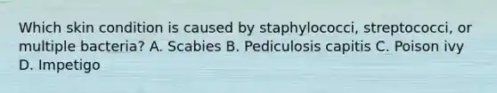 Which skin condition is caused by staphylococci, streptococci, or multiple bacteria? A. Scabies B. Pediculosis capitis C. Poison ivy D. Impetigo