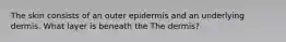 The skin consists of an outer epidermis and an underlying dermis. What layer is beneath the The dermis?