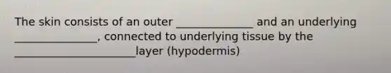 The skin consists of an outer ______________ and an underlying _______________, connected to underlying tissue by the ______________________layer (hypodermis)