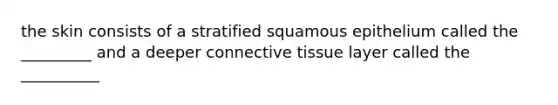 the skin consists of a stratified squamous epithelium called the _________ and a deeper connective tissue layer called the __________