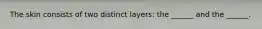 The skin consists of two distinct layers: the ______ and the ______.