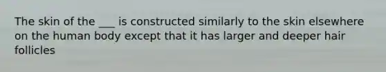 The skin of the ___ is constructed similarly to the skin elsewhere on the human body except that it has larger and deeper hair follicles