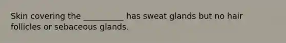 Skin covering the __________ has sweat glands but no hair follicles or sebaceous glands.