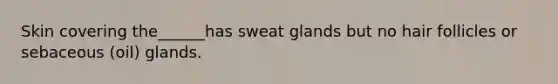 Skin covering the______has sweat glands but no hair follicles or sebaceous (oil) glands.