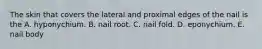 The skin that covers the lateral and proximal edges of the nail is the A. hyponychium. B. nail root. C. nail fold. D. eponychium. E. nail body