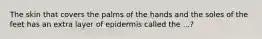 The skin that covers the palms of the hands and the soles of the feet has an extra layer of epidermis called the ...?