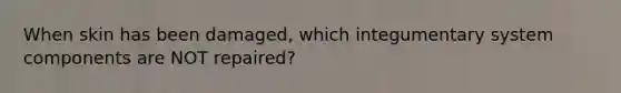 When skin has been damaged, which integumentary system components are NOT repaired?