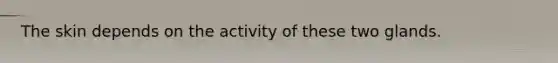 The skin depends on the activity of these two glands.