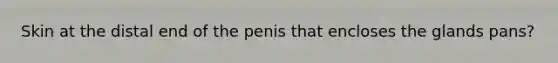 Skin at the distal end of the penis that encloses the glands pans?