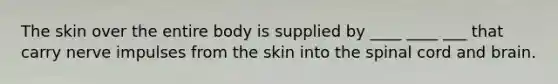 The skin over the entire body is supplied by ____ ____ ___ that carry nerve impulses from the skin into the spinal cord and brain.