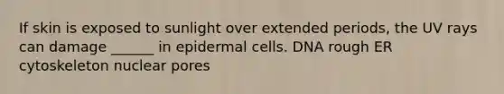 If skin is exposed to sunlight over extended periods, the UV rays can damage ______ in epidermal cells. DNA rough ER cytoskeleton nuclear pores