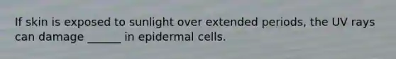 If skin is exposed to sunlight over extended periods, the UV rays can damage ______ in epidermal cells.