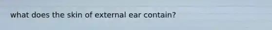 what does the skin of external ear contain?