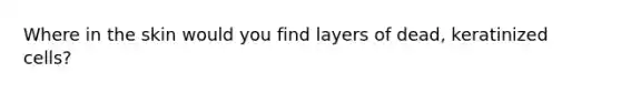 Where in the skin would you find layers of dead, keratinized cells?