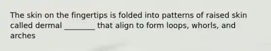 The skin on the fingertips is folded into patterns of raised skin called dermal ________ that align to form loops, whorls, and arches