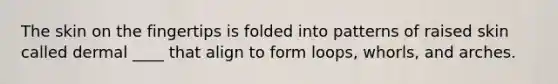 The skin on the fingertips is folded into patterns of raised skin called dermal ____ that align to form loops, whorls, and arches.