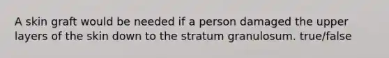 A skin graft would be needed if a person damaged the upper layers of the skin down to the stratum granulosum. true/false