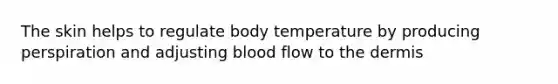 The skin helps to regulate body temperature by producing perspiration and adjusting blood flow to the dermis