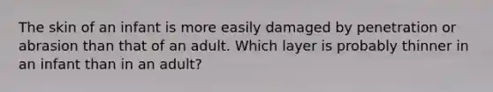 The skin of an infant is more easily damaged by penetration or abrasion than that of an adult. Which layer is probably thinner in an infant than in an adult?