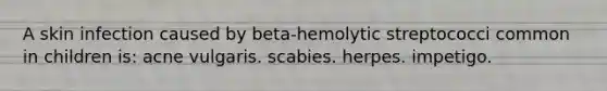 A skin infection caused by beta-hemolytic streptococci common in children is: acne vulgaris. scabies. herpes. impetigo.