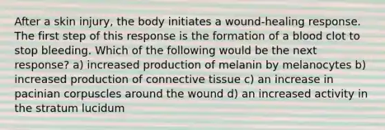 After a skin injury, the body initiates a wound-healing response. The first step of this response is the formation of a blood clot to stop bleeding. Which of the following would be the next response? a) increased production of melanin by melanocytes b) increased production of <a href='https://www.questionai.com/knowledge/kYDr0DHyc8-connective-tissue' class='anchor-knowledge'>connective tissue</a> c) an increase in pacinian corpuscles around the wound d) an increased activity in the stratum lucidum