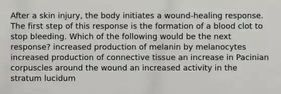 After a skin injury, the body initiates a wound-healing response. The first step of this response is the formation of a blood clot to stop bleeding. Which of the following would be the next response? increased production of melanin by melanocytes increased production of connective tissue an increase in Pacinian corpuscles around the wound an increased activity in the stratum lucidum