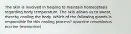 The skin is involved in helping to maintain homeostasis regarding body temperature. The skin allows us to sweat, thereby cooling the body. Which of the following glands is responsible for this cooling process? apocrine ceruminous eccrine (merocrine)