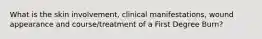 What is the skin involvement, clinical manifestations, wound appearance and course/treatment of a First Degree Burn?