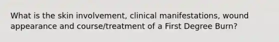 What is the skin involvement, clinical manifestations, wound appearance and course/treatment of a First Degree Burn?