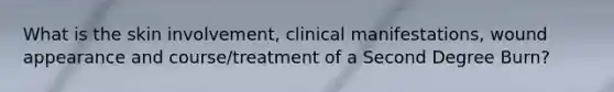 What is the skin involvement, clinical manifestations, wound appearance and course/treatment of a Second Degree Burn?